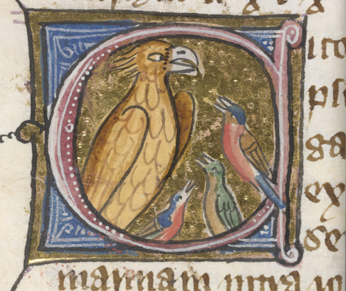 Page from the 'Omne Bonum', showing birds