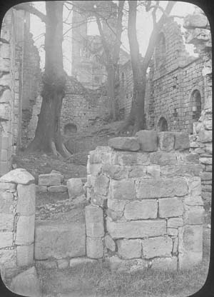 The kitchen in the south range of Kirkstall Abbey. Large elm trees are growing in the debris inside the building. The photograph must have been taken, therefore, before 1892-6.