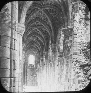 View looking east along the north aisle of the church at Kirkstall Abbey showing a tree growing among the debris left by the partial collapse of the tower in 1779. This photograph must have been taken, therefore, prior to the the programme of conservation work at the abbey in 1892.></P>
                            </DIV>
                          </TD>
                          <TD><P><a href=